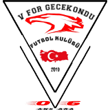 V FOR GECEKONDU