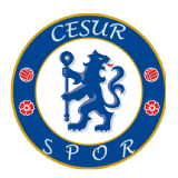 Cesur Spor